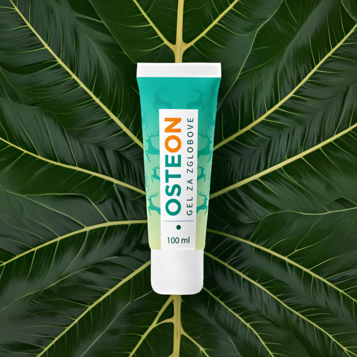 OSTEON