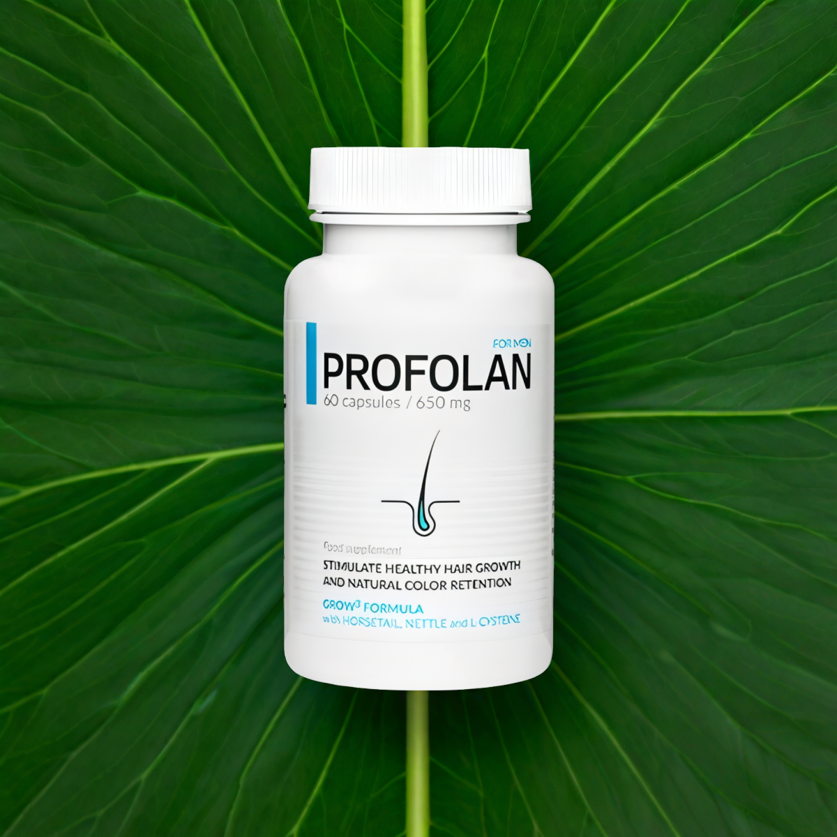 Profolan
